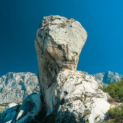 Krvavica